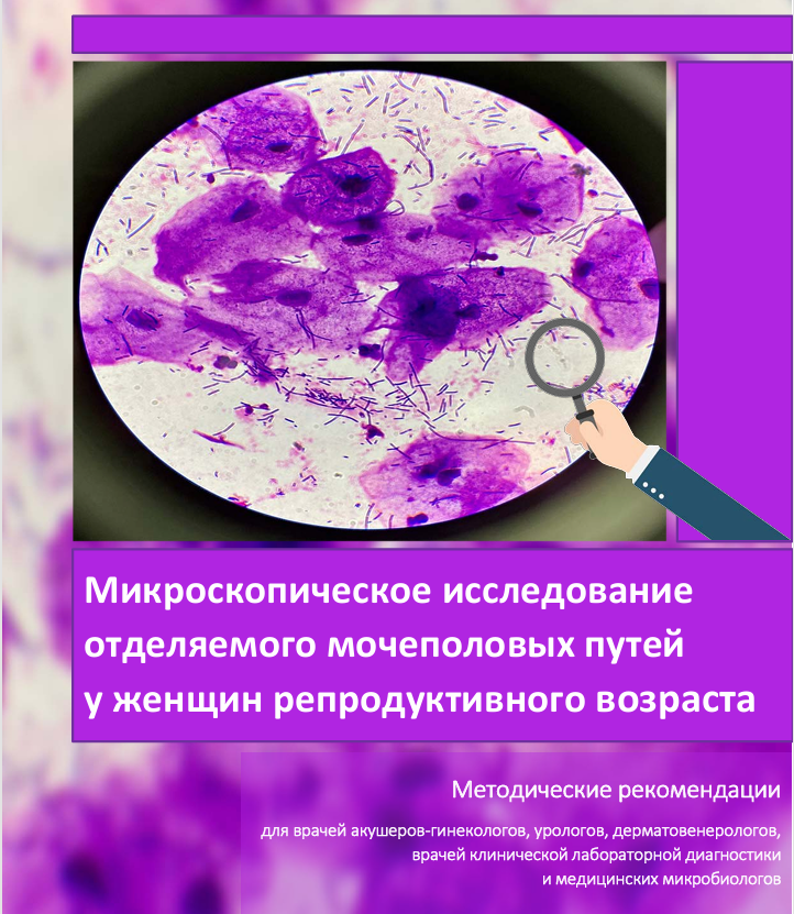 Новые методические рекомендации 