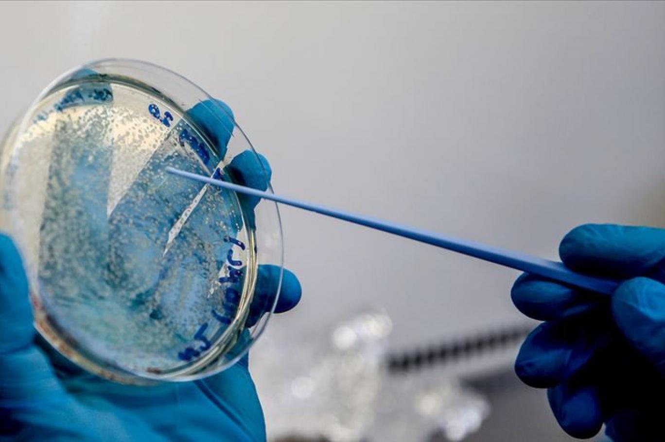 Классический бактериологический метод с применением MALDI-TOF MS