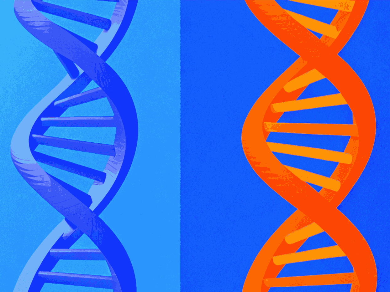 Генотипические методы определения чувствительности к антибиотикам