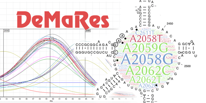 Исследование «DeMaRes»