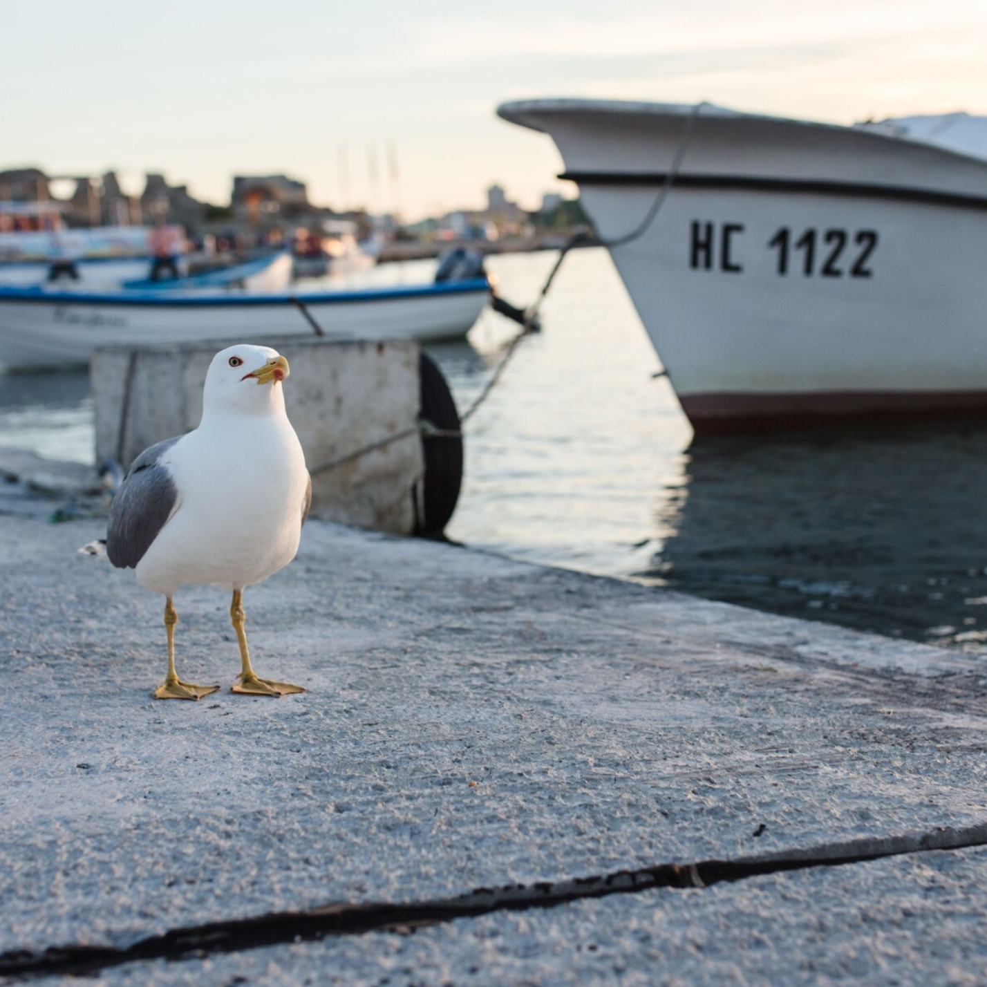 Лето, море… Диарея путешественников